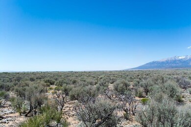 TBD Pitchfork Rd unit 2, Fort Garland, CO 81133 - photo 7