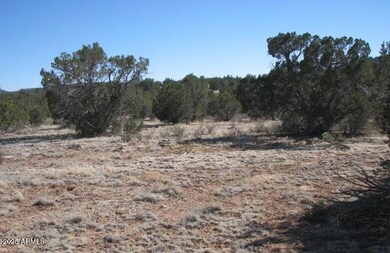 000 Via de Oro -- unit 1332, Seligman, AZ 86337 - photo 5