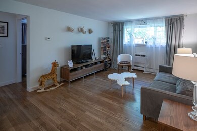 10 Riverside St unit 3-3, Watertown, MA 02472 - photo 5