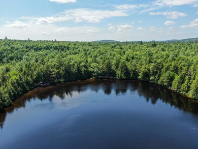 21 Spruce Point Rd, Lowell, ME 04493 - photo 5