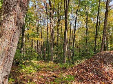 0 Miller Ln, Williamsville, VT 05362 - photo 5