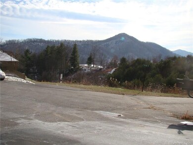 134 Big Sky Dr unit 54, Leicester, NC 28748 - photo 6