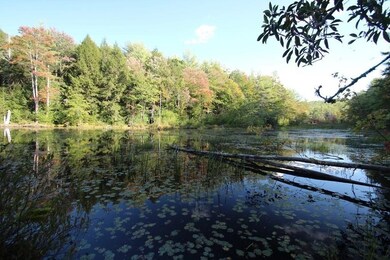 331 Lockes Village Rd, Wendell, MA 01379 - photo 4