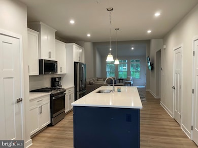 12736 Carnouste Ln unit 1, Berlin, MD 21811 - photo 4