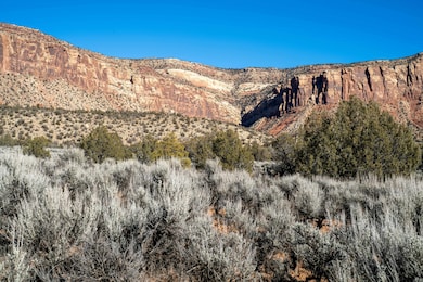 0 Tbd unit 42825, Paradox, CO 81429 - photo 5