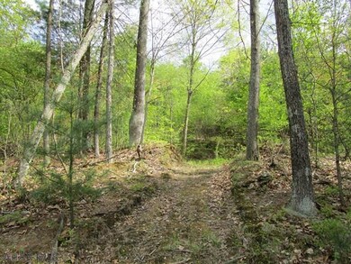 Off Imlertown Rd, Bedford Township, PA 15522 - photo 3