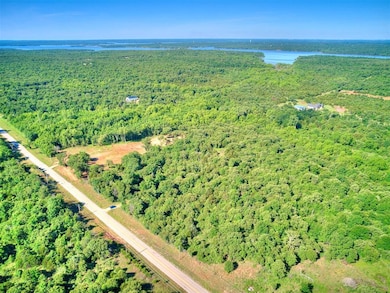 Aerial overview of property's location featuring a forest and a nearby body of water