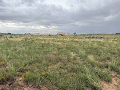 Lot 389 Rancho Rio Grande, Belen, NM 87002 - photo 7