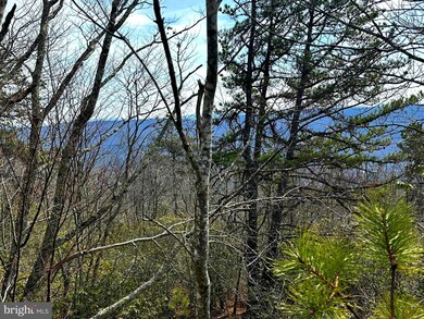 11 acs Summit Dr, Franklin, WV 26807 - photo 4