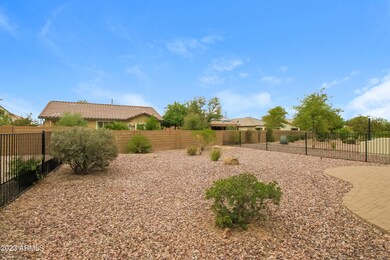 Backyard-11505697