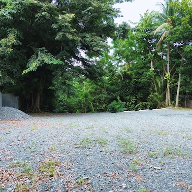 0 Sector Aldea unit MFRPR9115114, Bayamon, PR 00956 - photo 2