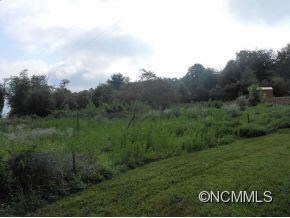 100 Moores Valley Rd, Leicester, NC 28748 - photo 4