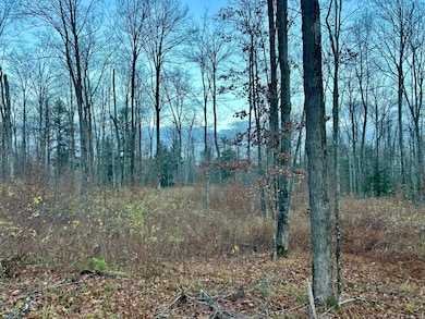 Lot 3 Old Elcho Rd, Pelican Lake, WI 54463 - photo 3