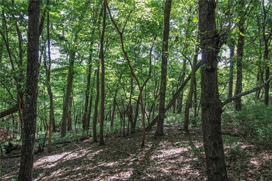 8088 Ridgeview Dr, Big Canoe, GA 30143 - photo 7