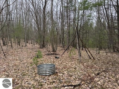 VL W Gaukel Rd, Forest Township, MI 49651 - photo 7