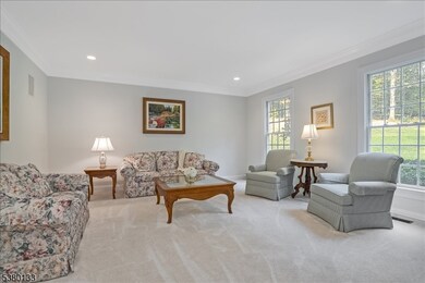 14 Pond View Rd, Chester, NJ 07930 - photo 4