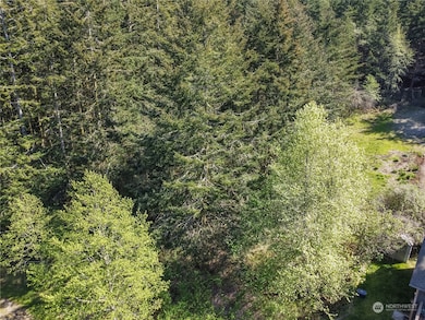 12 xx 48th St, Port Townsend, WA 98368 - photo 4