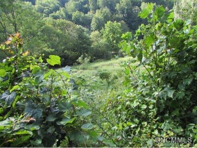 217 Evergreen Rd, Burnsville, NC 28714 - photo 4