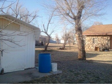 shed in back yard