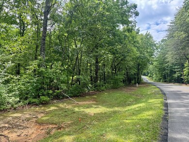 Lot 94 Doll Mountain Rd, Ellijay, GA 30540 - photo 5