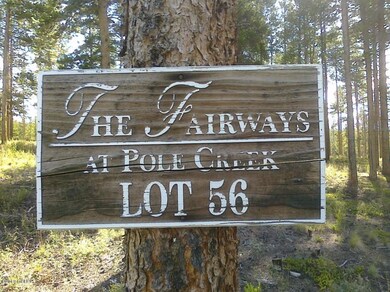 Lot 56