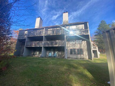 13 Snowtree Ln unit Willows K, West Dover, VT 05356 - photo 5