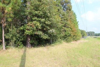 27410 E Benders Landing Blvd, Spring, TX 77386 - photo 5