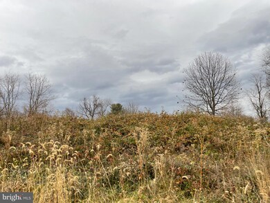 0 Appalachian Ln unit VAWR2001064, Linden, VA 22642 - photo 3