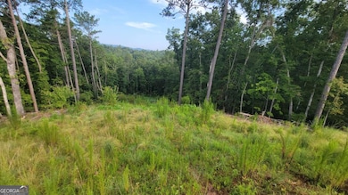 264 Riverview Dr, Ellijay, GA 30540 - photo 4