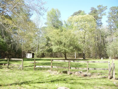 23170 Baneberry Rd, Magnolia, TX 77355 - photo 3