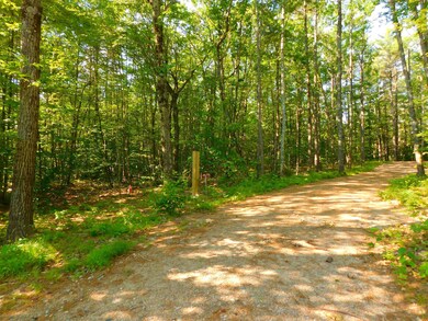 207 Route 16 Hwy, Ossipee, NH 03864 - photo 7