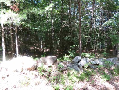 0 Old Perkins Rd unit 8 4652194, Meredith, NH 03253 - photo 2