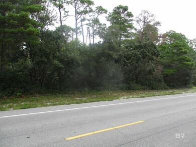 0 State Highway 180 unit 384070, Gulf Shores, AL 36542 - photo 4