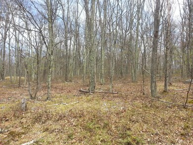 232 Sec 2 Lilypad Ln, Lackawaxen Township, PA 18428 - photo 3