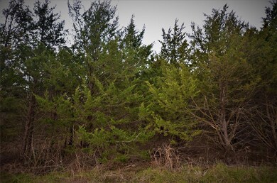 Lot 565 Toy Ln, Pottsboro, TX 75076 - photo 5