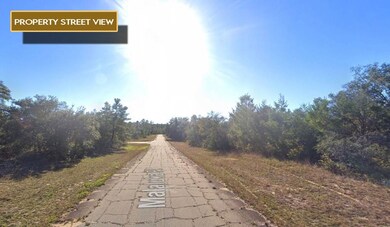 0 Malaluka Place unit 25756075, Chipley, FL 32428 - photo 4