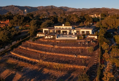 North Aerial/ Vineyard
