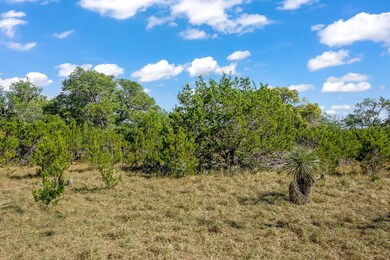 Lot 3 Armadillo Run unit 3, Fredericksburg, TX 78624 - photo 7