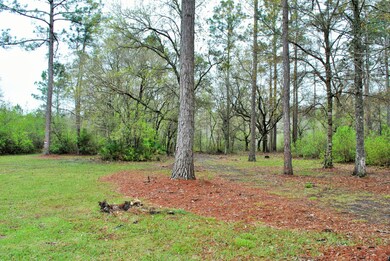 DSC_0005 (2)