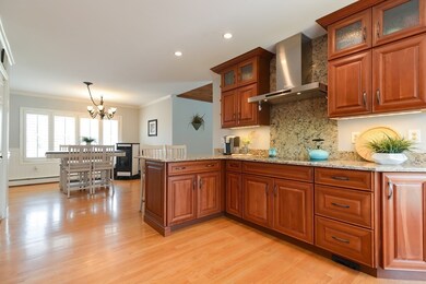 94 Chestnut Hill Rd, Millville, MA 01529 - photo 5