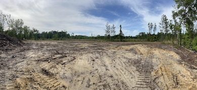 277 Herndon St, Walterboro, SC 29488 - photo 3