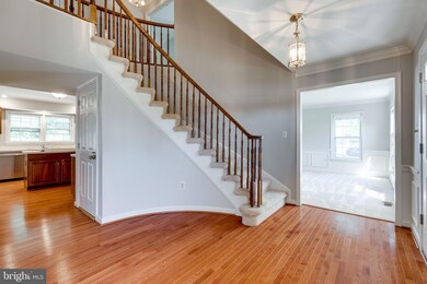 7800 Valleyfield Dr, Springfield, VA 22153 - photo 7