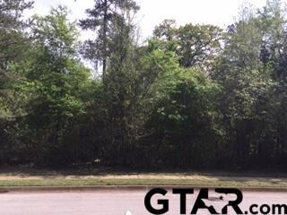 4025 Charleston Park, Tyler, TX 75701 - photo 2