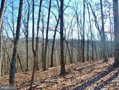 LOT 33 Comforter Ln, North River, VA 22645 - photo 6