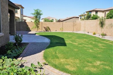 back lawn