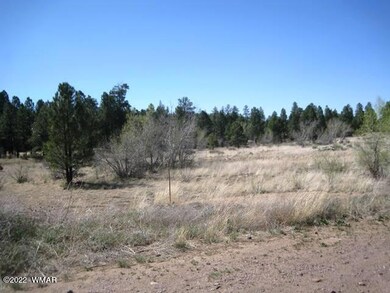 Meadow Rd  7