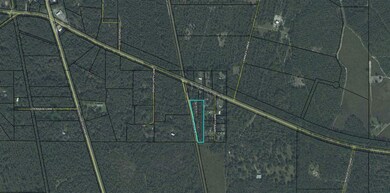 55 Card Ln, Crawfordville, FL 32327 - photo 2