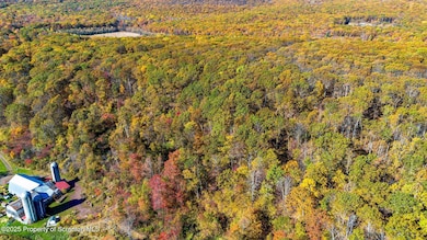 0 Robinson and Fox Rd, South Canaan, PA 18459 - photo 5