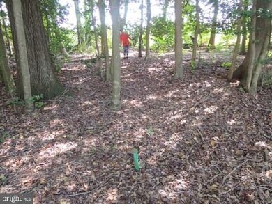 Lot 5 Asketum Branch Rd unit 5, Georgetown, DE 19947 - photo 4