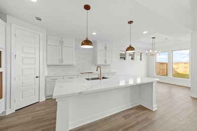 31311 Wildflower Field Ct, Fulshear, TX 77423 - photo 5